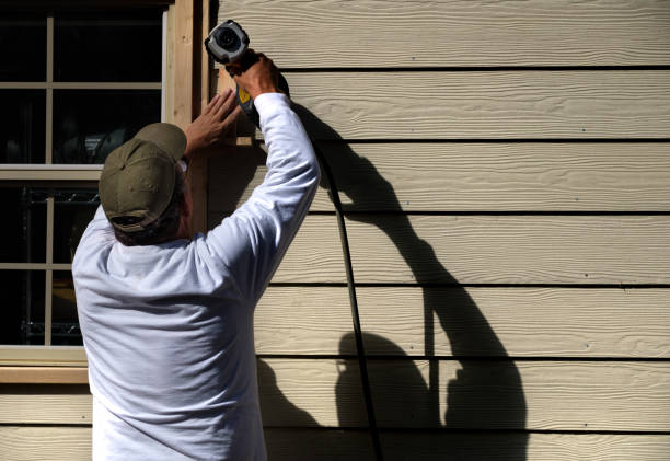 Best Vinyl Siding Installation  in Morrison, IL